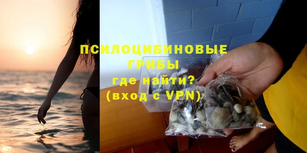 дмт Алзамай