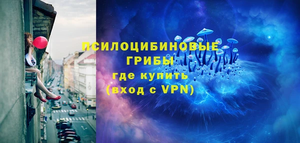 дмт Алзамай
