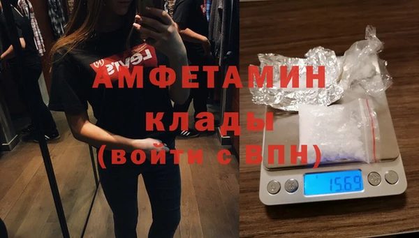 дмт Алзамай